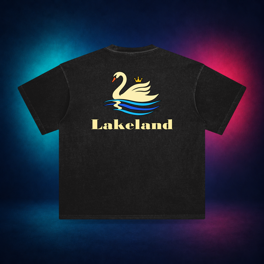 Lakeland — Retro Black — large back print | Vision Neon midnight studio