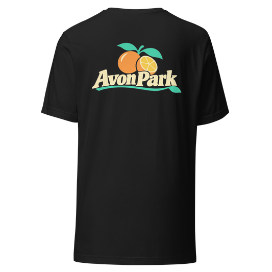 Avon Park city shirt in Vintage Black, back view showing the main city design